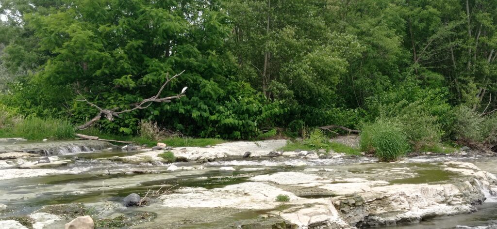 Ecopsychologie, Ecospiritualité, Groupes de Rencontre, Yoga et Méditation en Auvergne